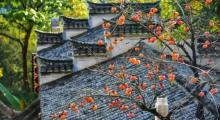婺源篁岭7