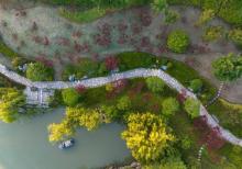 牛首山文化旅游区11