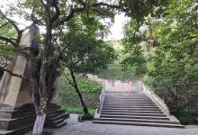 中山公园19