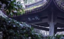 中山公园13