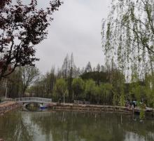 湖州梁希森林公园2