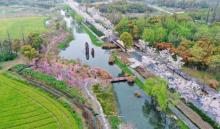 长田漾湿地10