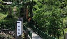 天字山2