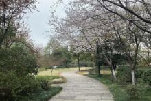 运河天地公园1