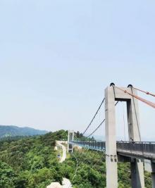龙山绿道玻璃悬索桥景区2