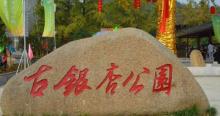 古银杏公园3