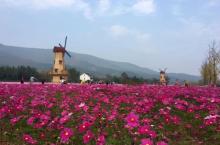 古银杏公园10