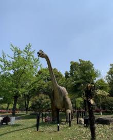金钉子远古世界景区15