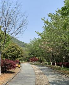 金钉子远古世界景区19