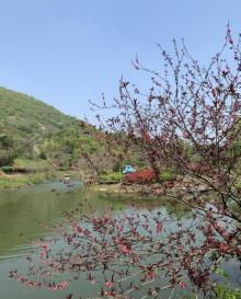金钉子远古世界景区21