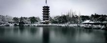 飞英公园15