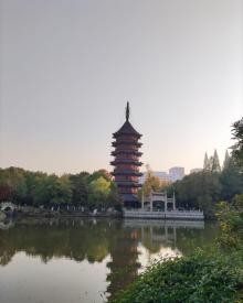 飞英公园11