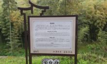 无蚊村1