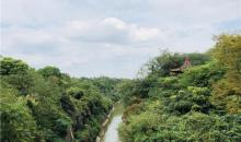 天生桥景区23