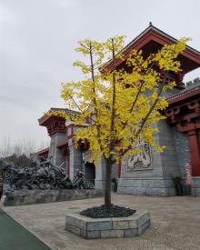 芜湖方特梦幻王国26