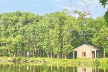 林海天池嗨King野奢露营地4