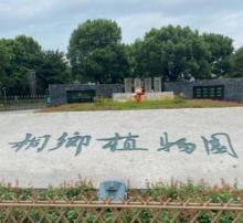 桐乡植物园2