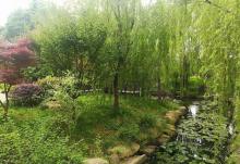 白鱼潭公园6