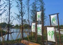 境见稻也乡趣帐篷露营地4
