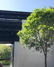 求恕里11