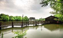 红杉景区1