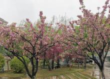 好望公园3