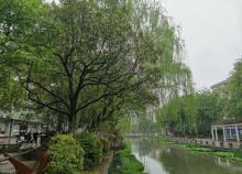 好望公园4
