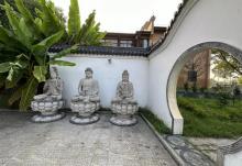 龙山寺5