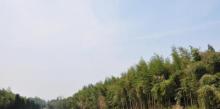 塘山遗址2