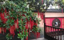 广惠宫17