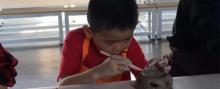 中国湖笔文化馆2