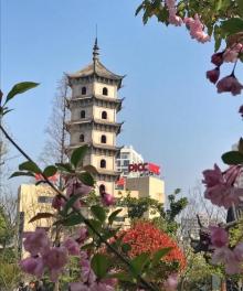 凤鸣公园4