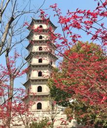 凤鸣公园8