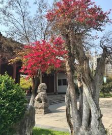 凤鸣公园6