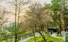 赭山风景区2