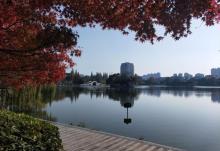 镜湖公园14