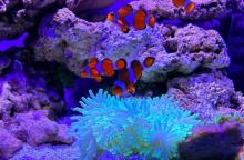 盐城海昌海洋探索馆3