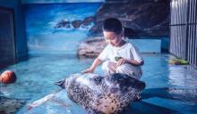盐城海昌海洋探索馆2