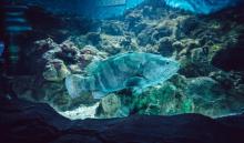 盐城海昌海洋探索馆27