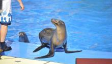 盐城海昌海洋探索馆17