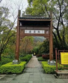 天下第一掌8