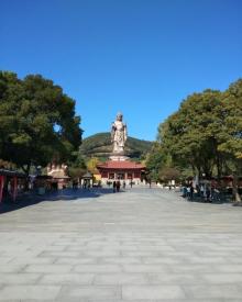 天下第一掌4