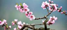 桃花潭10℃竹筏漂流9