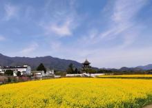 桃花潭10℃竹筏漂流23