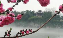 桃花潭10℃竹筏漂流14