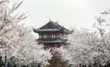 大洋湾生态旅游景区18
