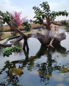 荷兰花海25