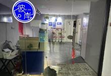彼岸之花侦探社剧本杀2