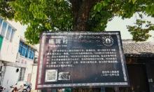杨湾村2