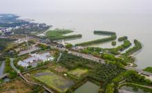 青蛙主题村1
